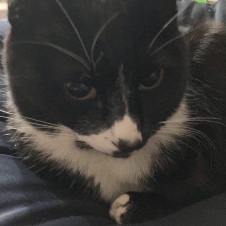 70db464e cd55 41cc 82b7 f5feffbe68ab 1707968082231