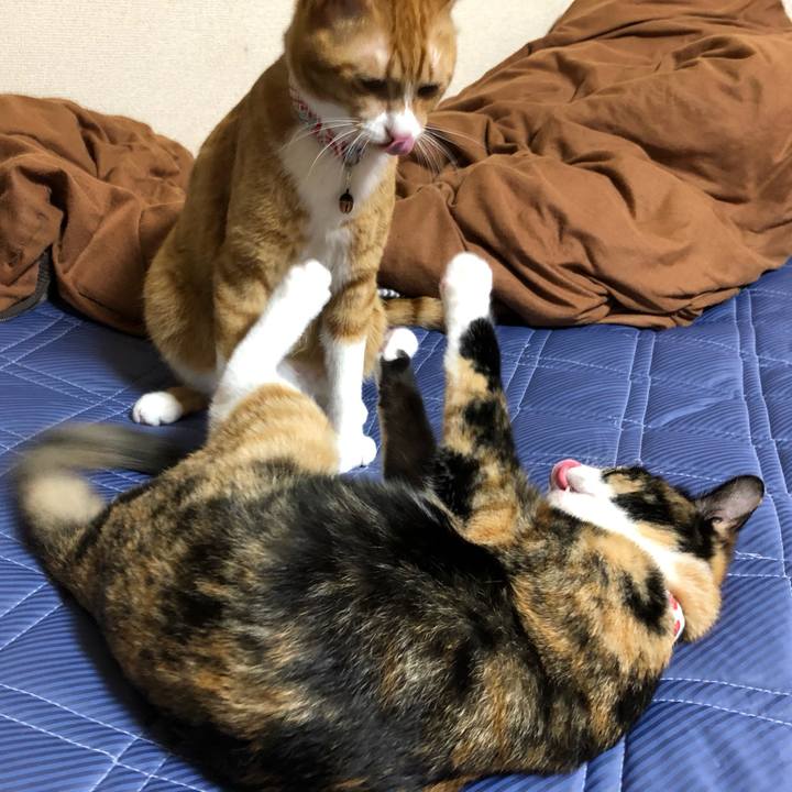 70db6501 126b 490a 9b3f 79b8f41dc3ce 1561637247066