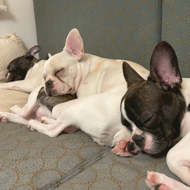 70db7bdd 84e0 497b a19d ed468bd18524 1609674937525