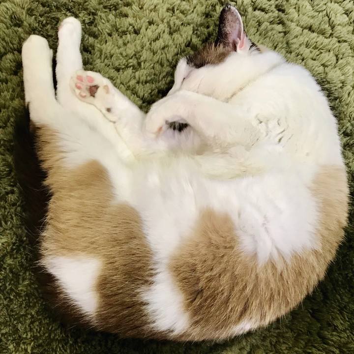 70db841f 8770 46fb acfb f93fe738a3d3 1517270718745