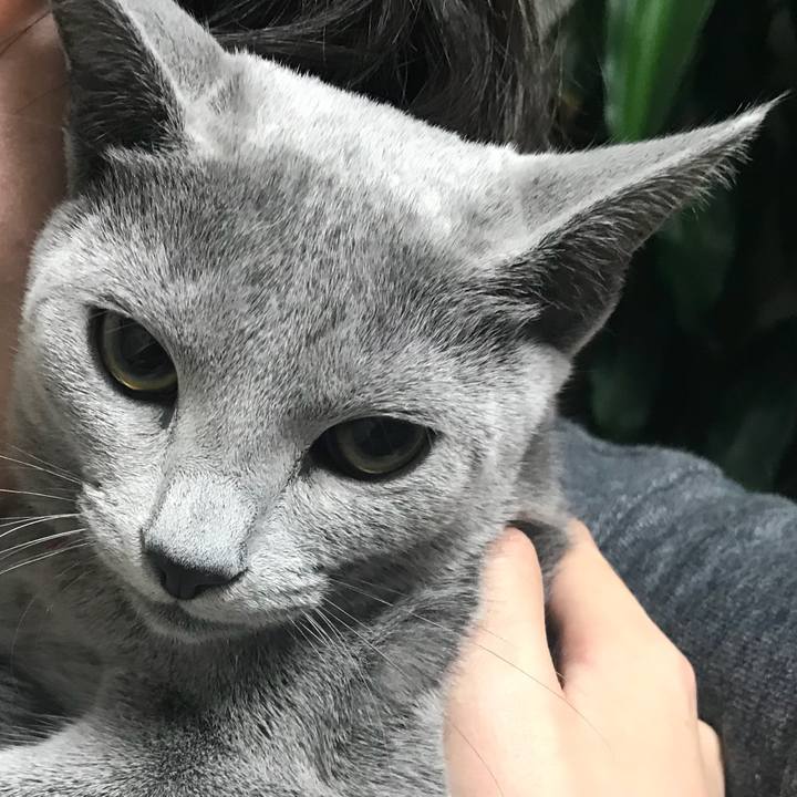 70dbc177 eb39 4753 8c8a 25ba5c2bd04d 1511911365782