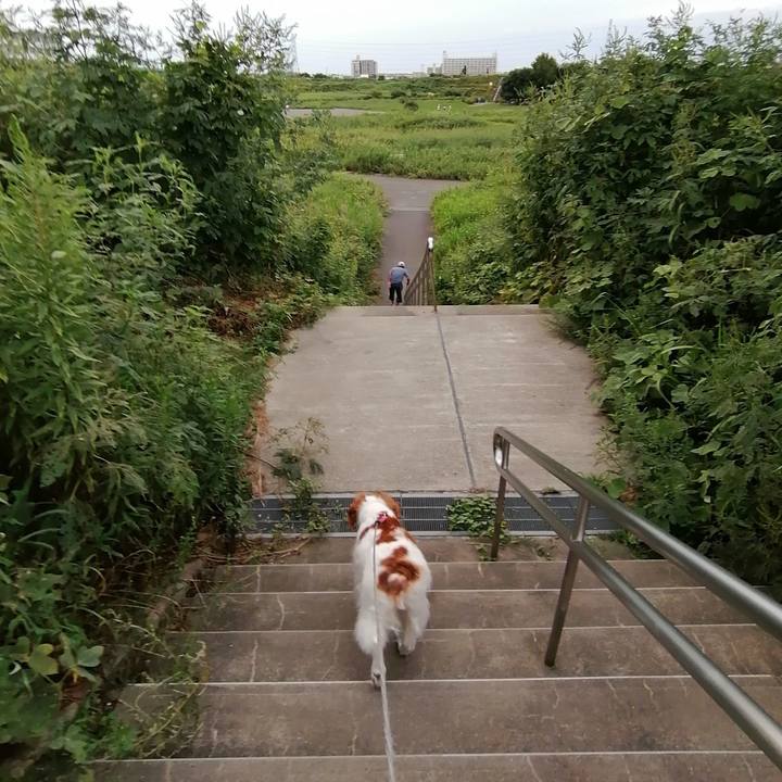 70dc0855 7db8 4d53 bfac 1406df699327 1600605911039