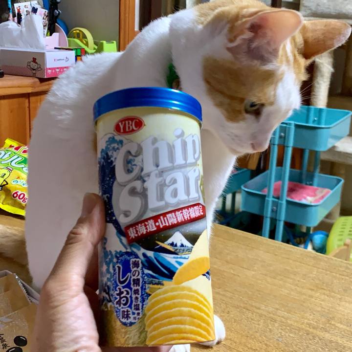 70dc16fe 0841 44ed 9fa3 bd93c3c86bc3 1566652848761