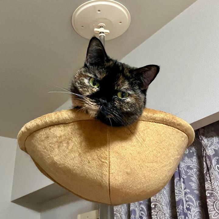 70dc1845 6fe6 48af b239 65c2a741a050 1763127356828