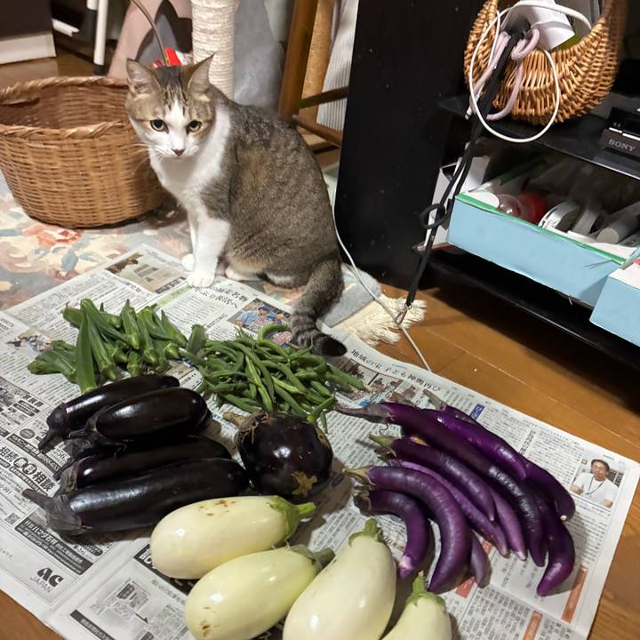 70dc3466 9ab5 4f6b 9164 f166f7a86bae 1760876559693