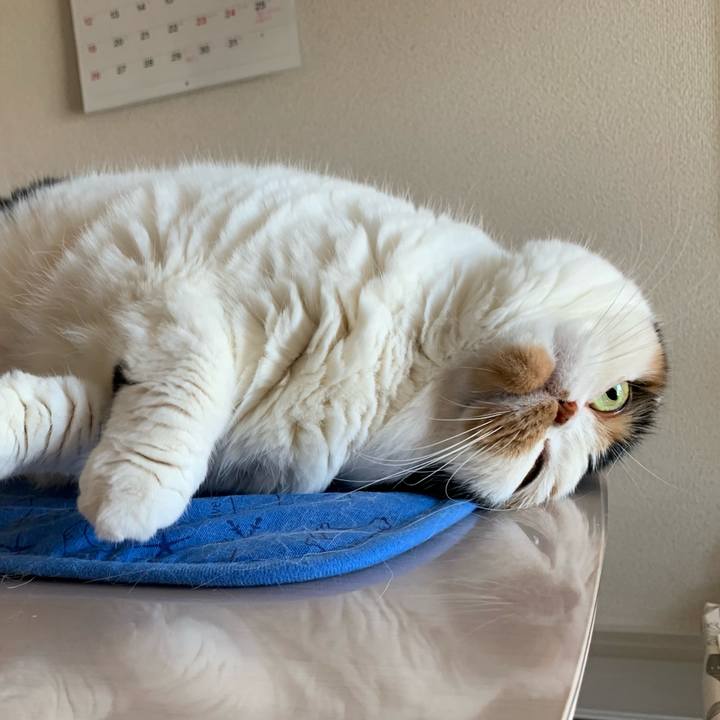 70dc5c43 733b 49f5 90cf 857415c69896 1597993507152