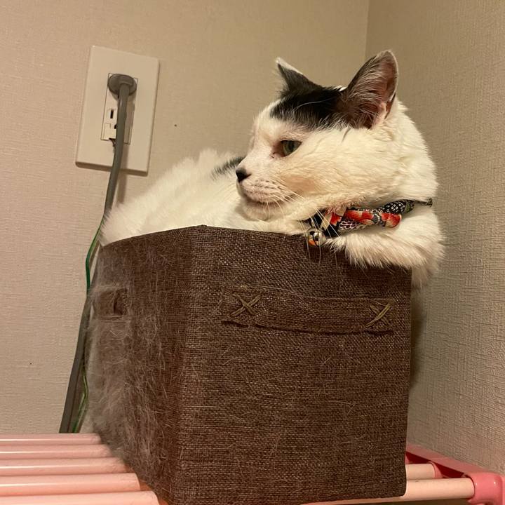 70dc8423 b5a2 416b 9660 e833f5f16ff3 1744932856949