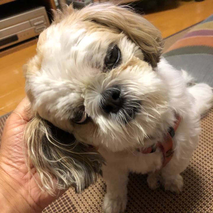 70dc9539 3a9e 4d15 be94 e6eb29c6f79b 1531776967688