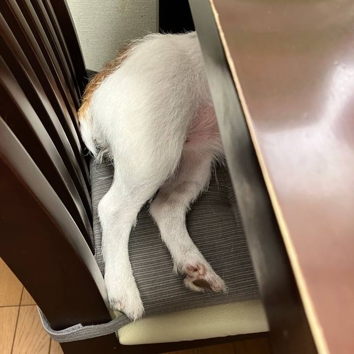 70dc99fc 17b5 4840 a728 cb46baa208c4 1693956532178