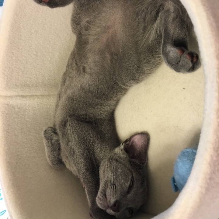 70dc9ca0 2834 429b 8bc4 02fc837927b6 1740521574817