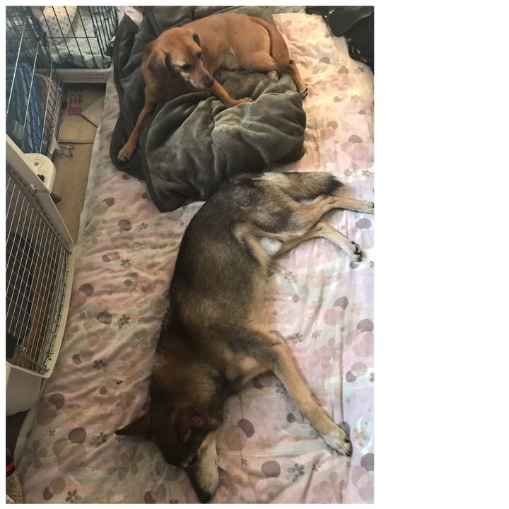 70dcafac 84ad 4006 b201 749a91d1f2f2 1531577189825