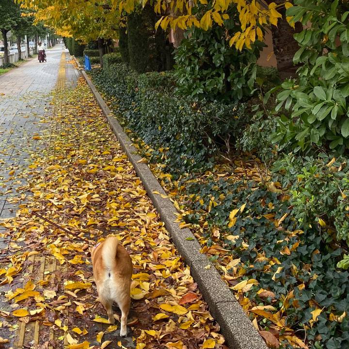 70dcc30b 7c3d 491a af84 f7d552d24328 1576244106185