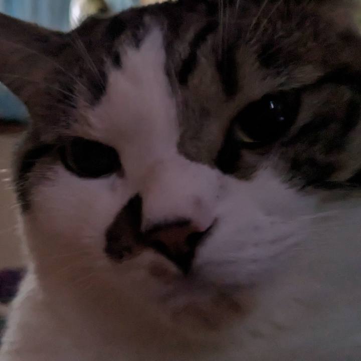 70dcd2b9 9d32 47cf b991 ae820897bb85 1694271623057