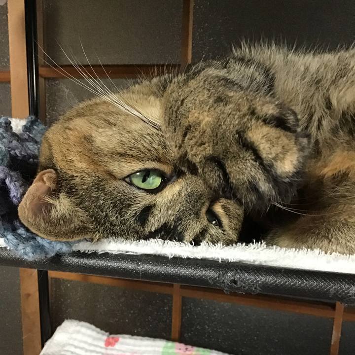 70dceff2 9269 46e7 93dd f37a25a330d7 1721462580138