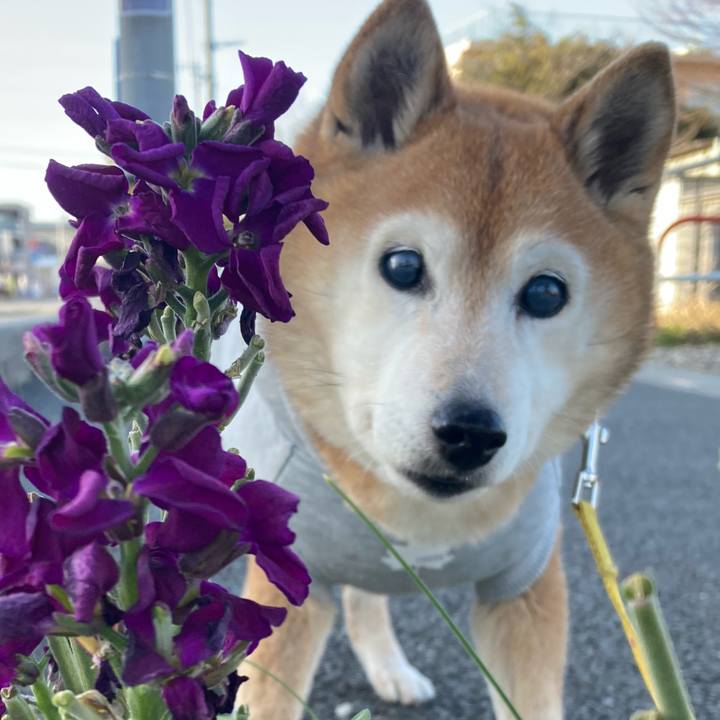 70dd0b25 4c01 45f7 ac78 caef64ce39f3 1773537879846