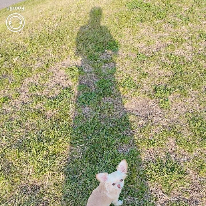 70dd1fff a178 442f b999 3d1c0ceeead8 1615889425946