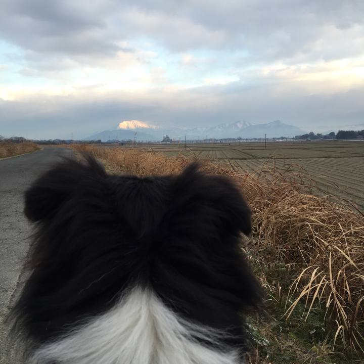 70dd3130 5f7a 4092 a360 f14d2048ab6a 1515798328244