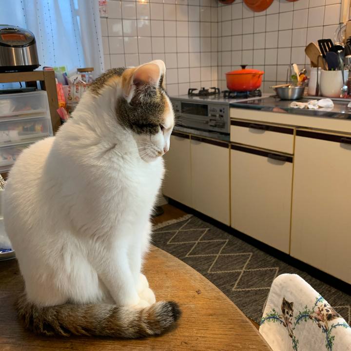 70dd632f 904f 4cda b9a8 52394b2fdf6e 1606790617565