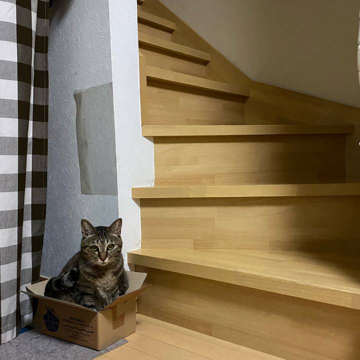 70dd6515 a606 4ffa bf43 52a0514efd82 1665521856309