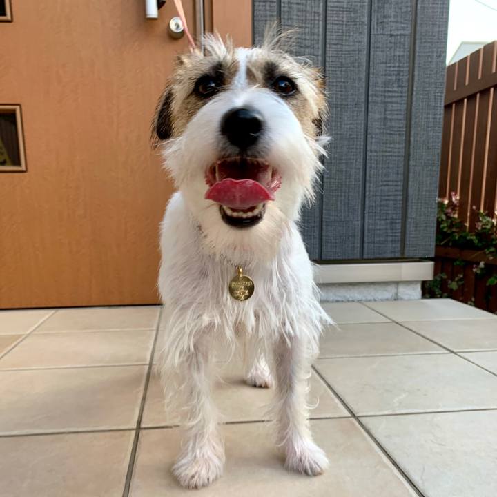 70dd95bf 5cbd 4638 9035 bdb0aa94036d 1628312822209