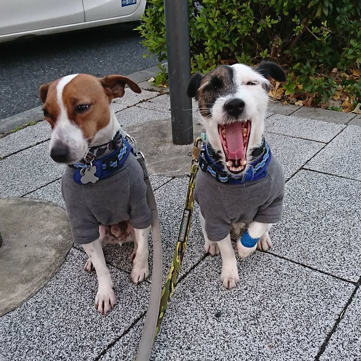 70dd9c34 d9e5 4602 82a2 2a2602dd8d8c 1545342916209