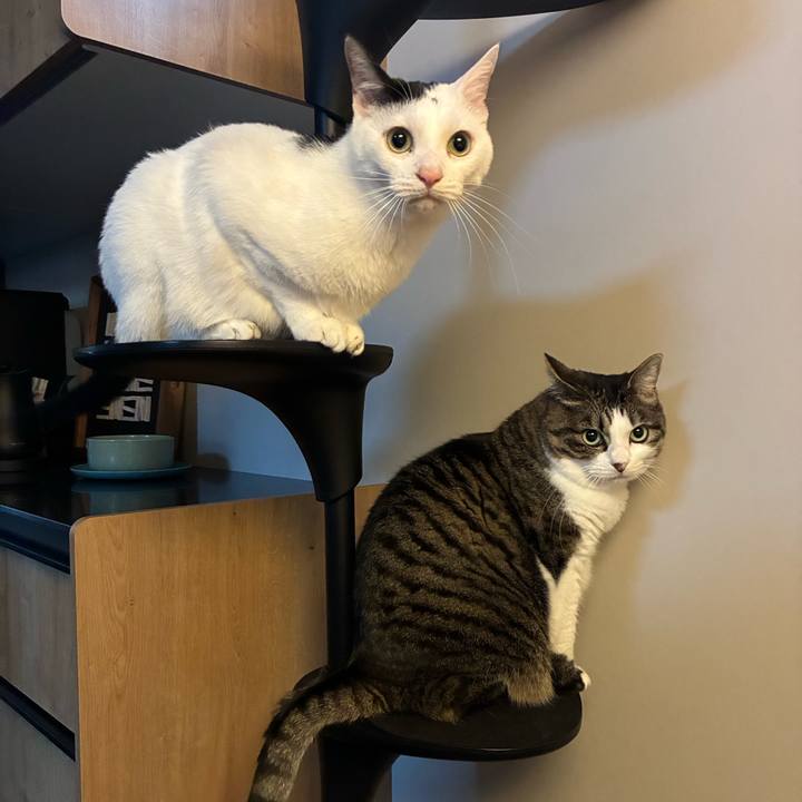 70ddb9c7 36c0 4a1c 8f4b 2990a6161895 1765926032191