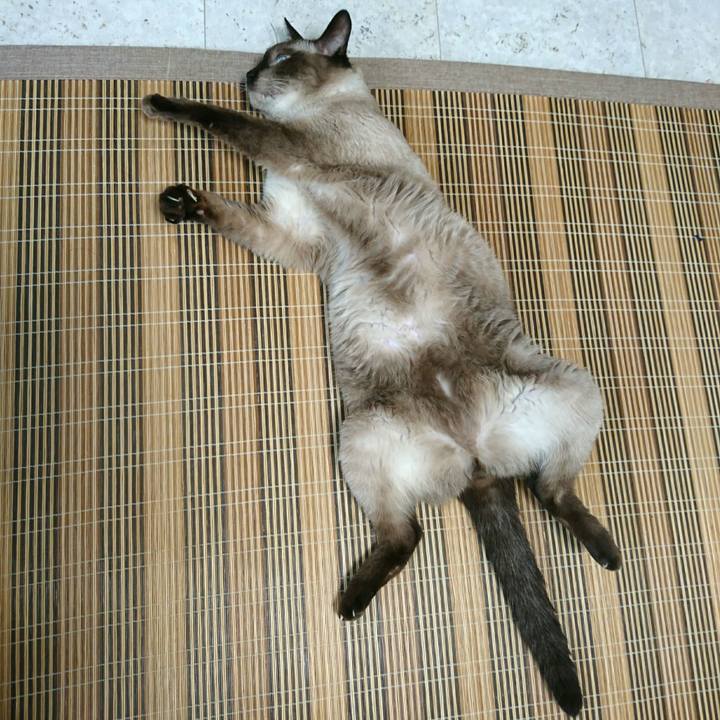 70ddc8fd a206 444d aa7e c71171710032 1541027315351