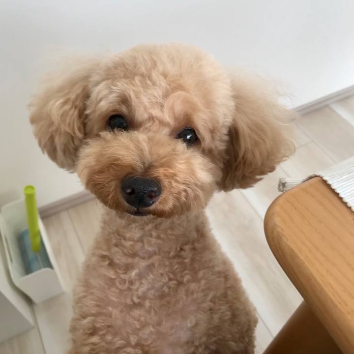 70dde227 f250 4616 bbfb eddab73188cd 1591779562995