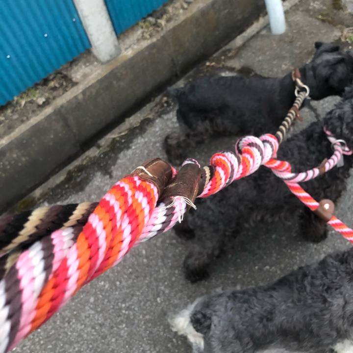 70de030e f1db 4383 82d9 919175f483de 1518337256933