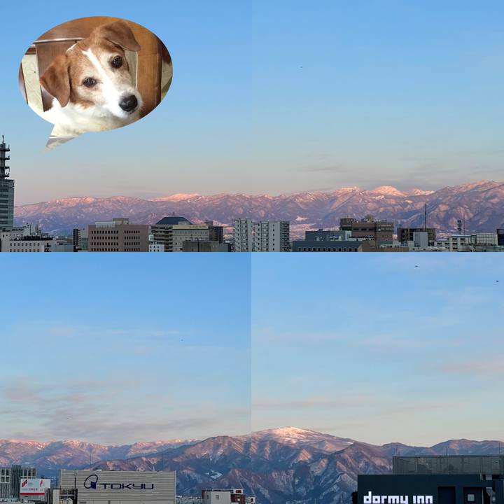 70de16c6 091d 48eb 8880 68a24679b791 1644664425363