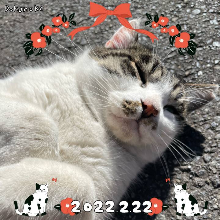 70de3c7c 5dba 469f b863 a644fde42761 1645510795918