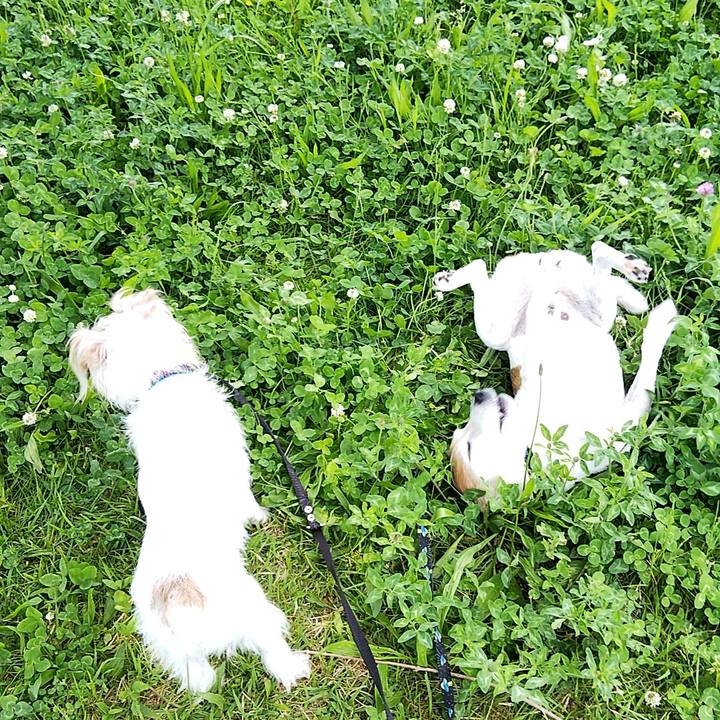 70de5146 32af 4ebb bcc5 04be575930dc 1557636424883