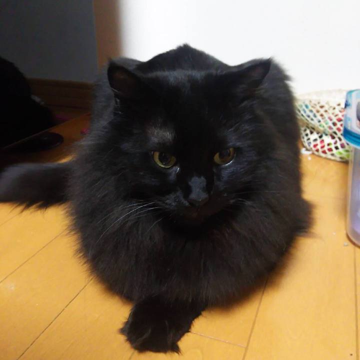 70de5bbb 01d3 4999 95a0 53f30b8bfca3 1550757594797