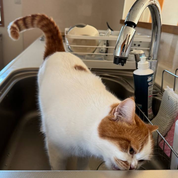 70de6971 12fa 4fa4 824e ab110fd108a4 1768701998966