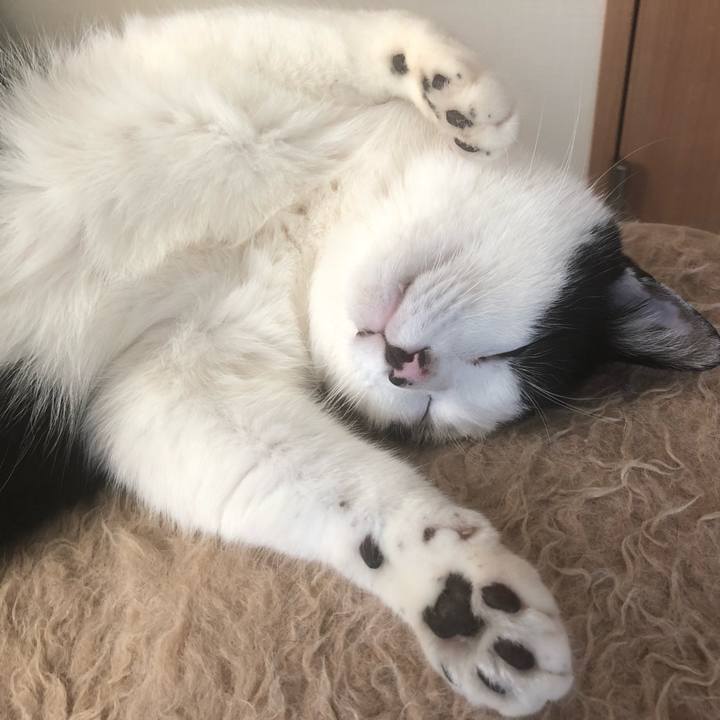 70ded7f0 df6c 475b 9451 32f6ed7b9799 1556917975397