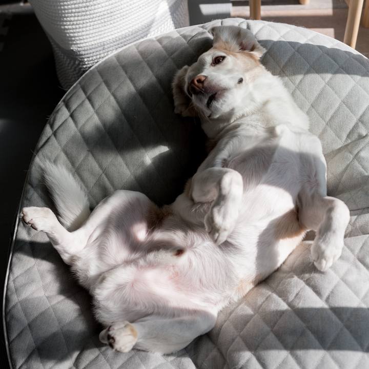 70df047e a412 4bb3 9759 768df1f27319 1763172024382