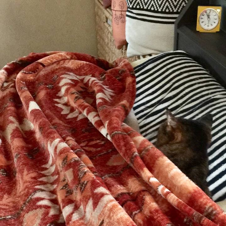 70df226f 0958 481e 932e 920e4a77c607 1612958156237