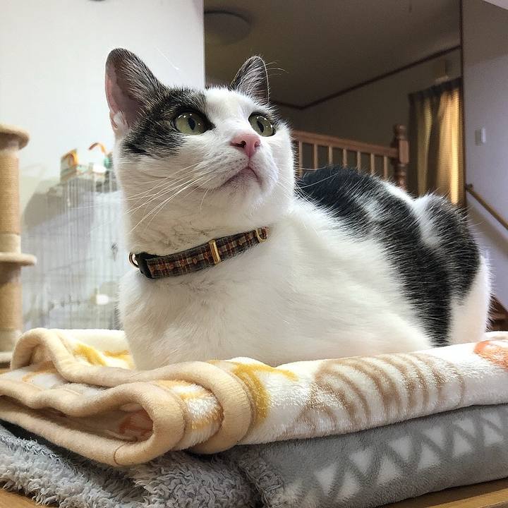 70df3a32 0dd8 43aa a980 9f3bb140cfdd 1683797277285