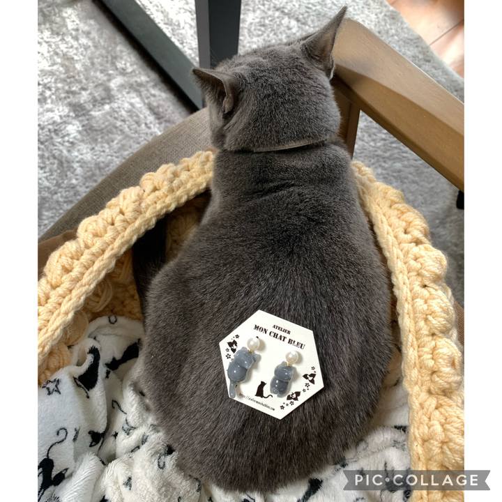 70df5c7b 02db 4525 9213 102205d8bfba 1641973005211