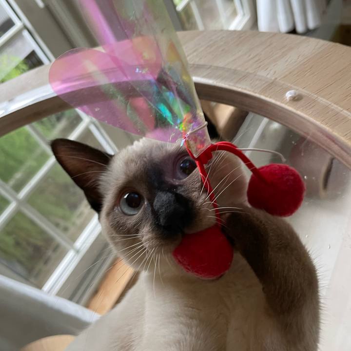 70df775b e7f3 4214 a527 c211a7ca4537 1695071361363