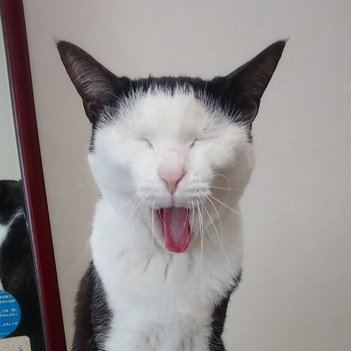 70df8654 8999 4375 8e42 0e308535d636 1554523788192