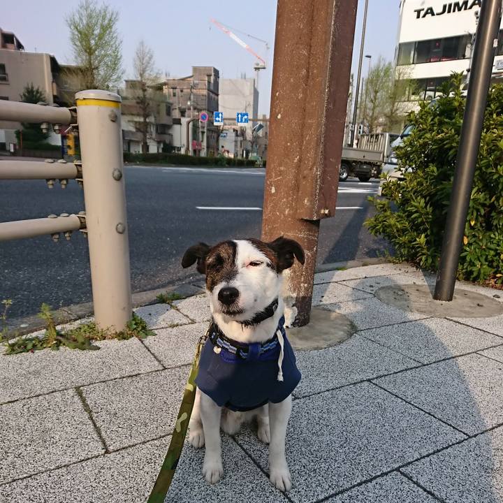 70df8b0a 56ab 42a1 b858 8f15d5b53b6b 1522620776645