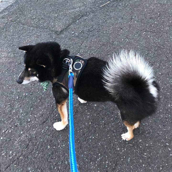 70df9b50 0865 44e2 a3df 2100fd418b33 1534499965971