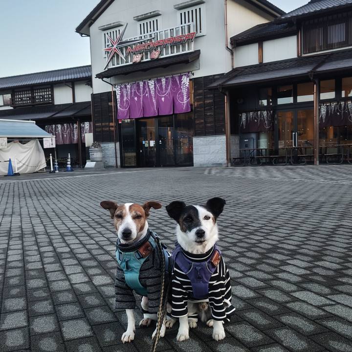 70dfe48f 66e7 405d 8b13 7d891c3248dc 1765753787838