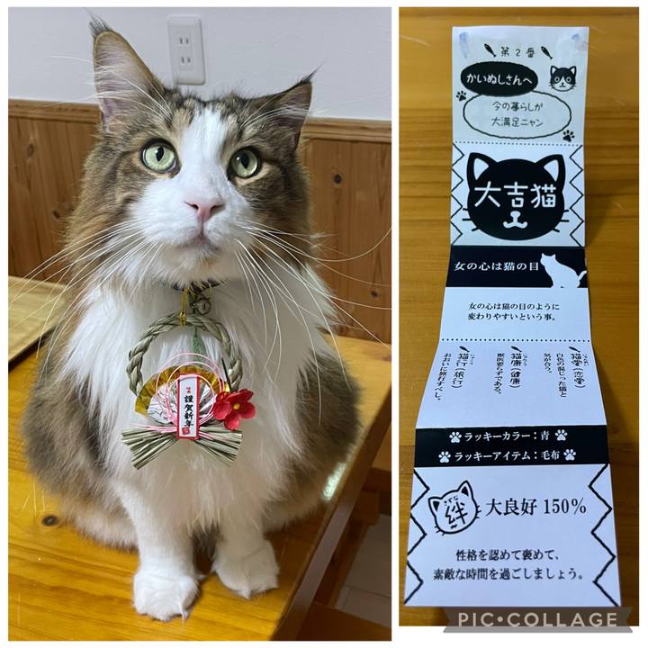 70dff397 3b84 41b4 a3fa f304030230c1 1767818281233