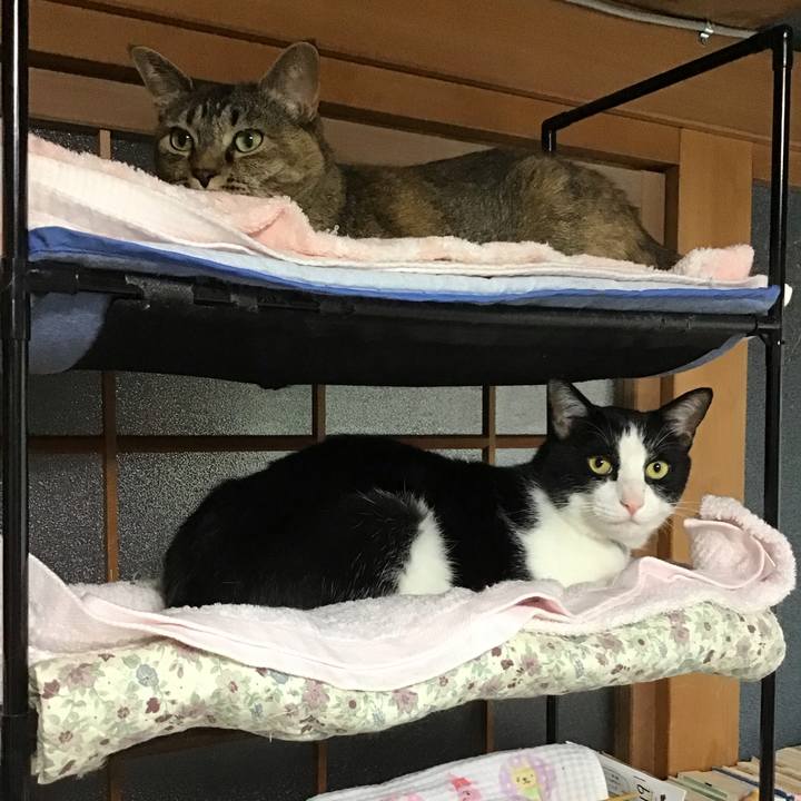 70e00264 dae7 423b a18f 5e29ed144f80 1686479965207