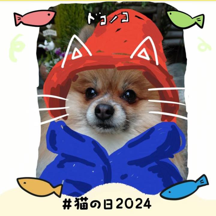 70e00de0 6a54 4e7a ae4b 85694ba6755f 1708596652258