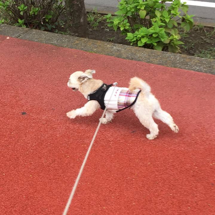 70e01afd 915c 4b54 bd8d 10a69f014ed3 1537073146582