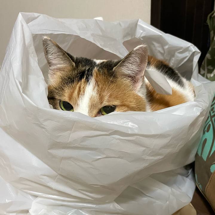 70e0259c 6138 46af 92f4 55ce838aab82 1698842692204