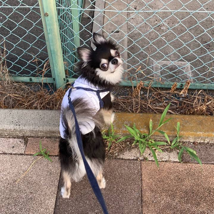 70e045ad 7310 4f97 bdbc e8916bd6170d 1691246365886